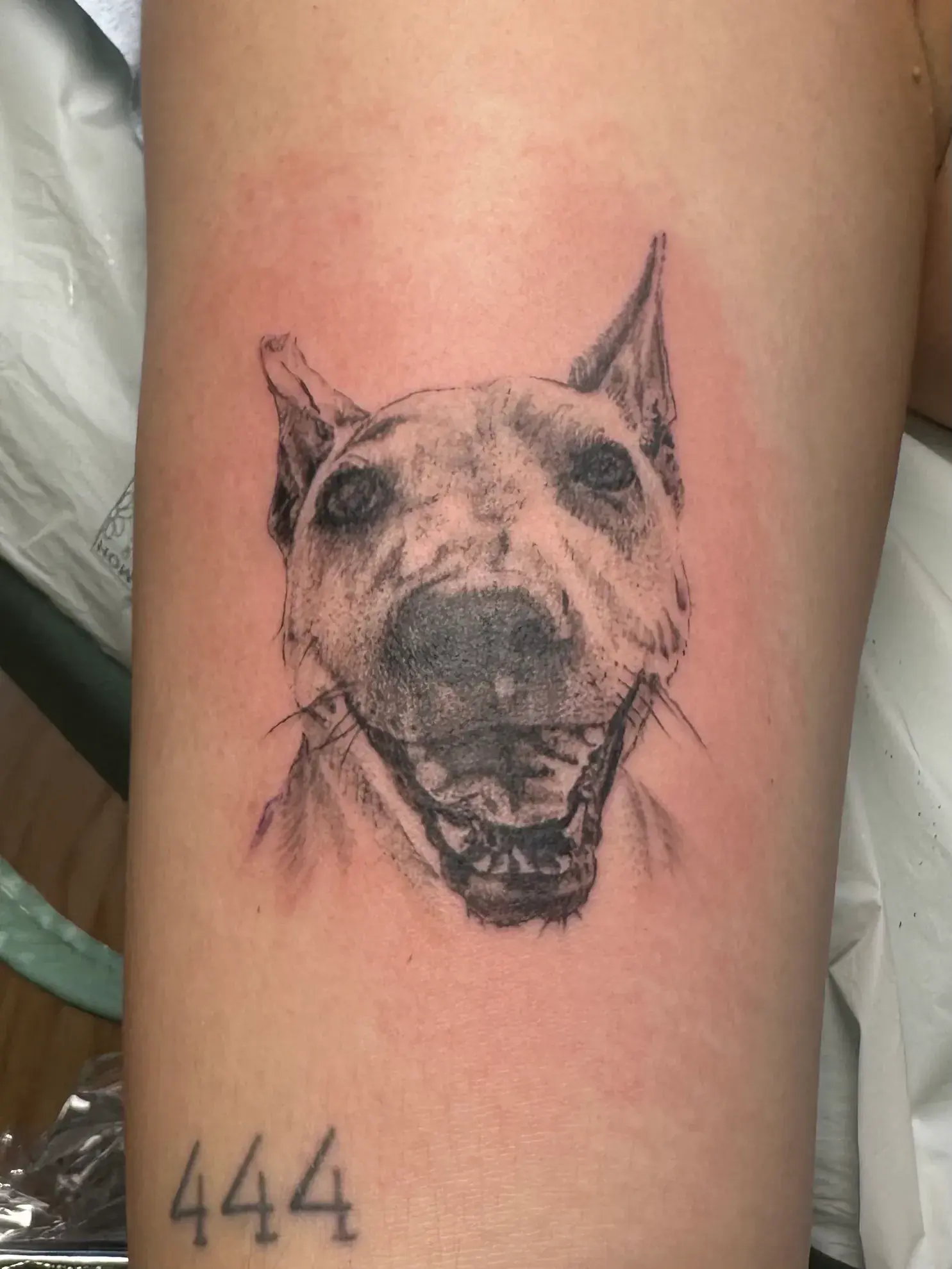 Tattoo by Mike Stapleton